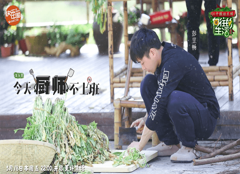 伦理电影院，电影伦理探讨，情感与道德的碰撞，观影启示录